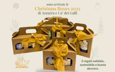 CHRISTMAS BOX: Natale con Azzurra e Ca’ dei Galli